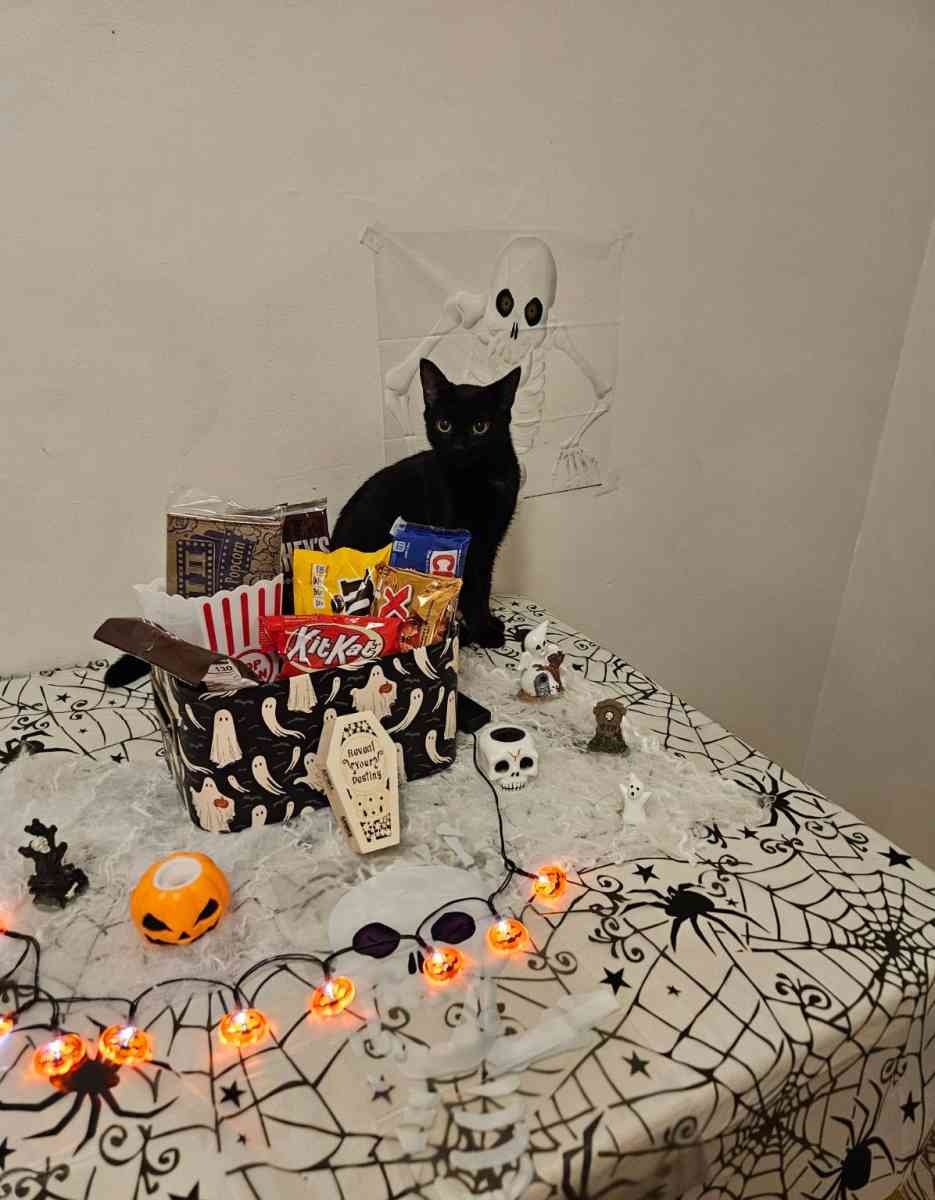 Halloween Miniature Candy Box - Southfield, Michigan - FleaMarketBay