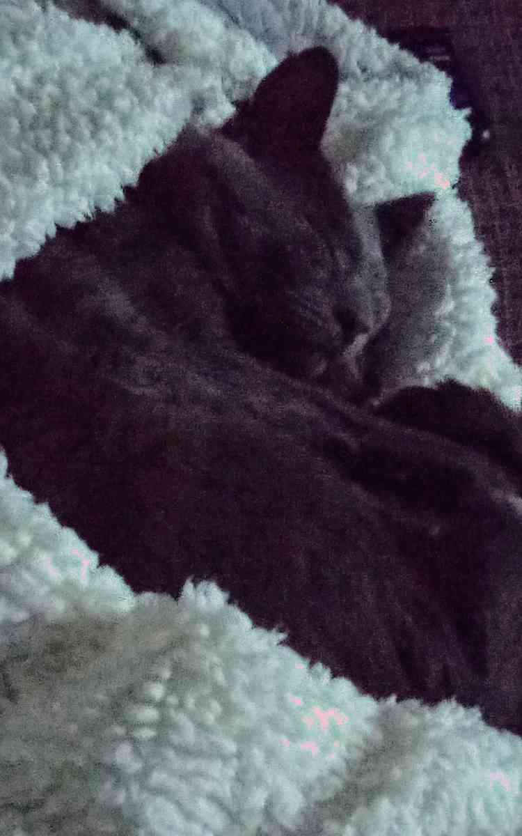 asking for donations - Fort Smith, Arkansas - FleaMarketBay