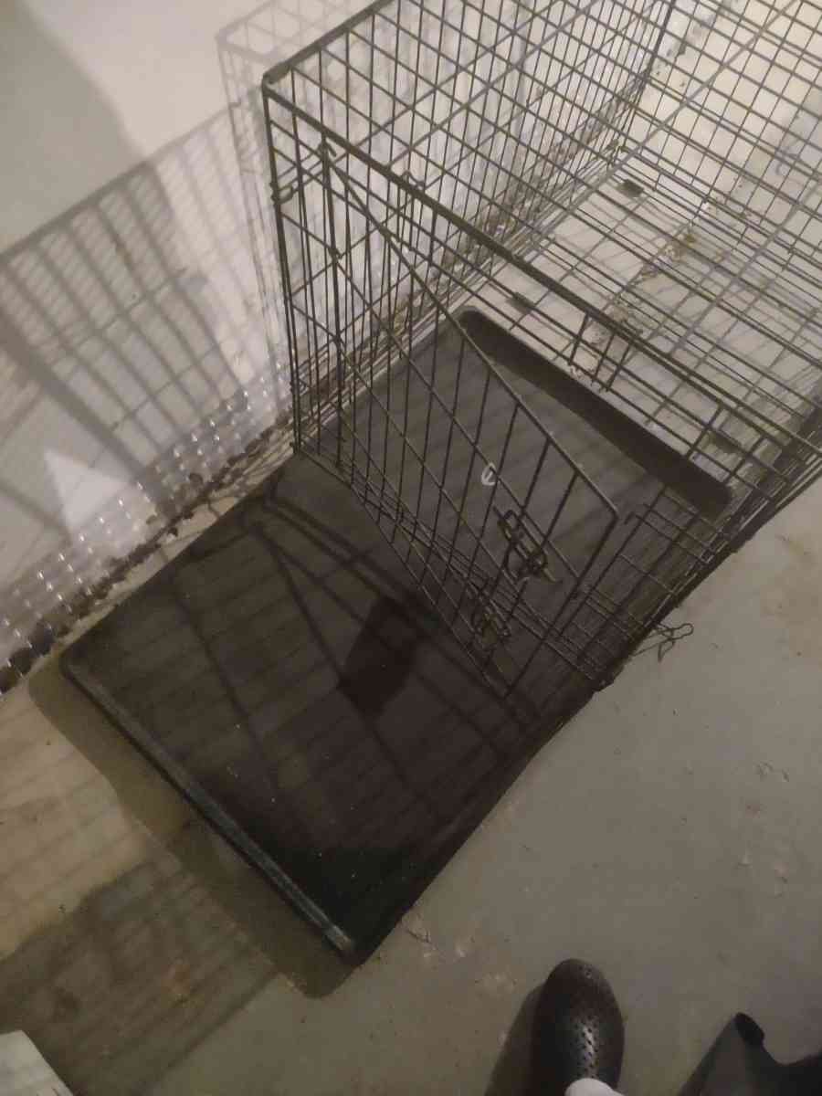 dog cage - Detroit, Michigan - FleaMarketBay