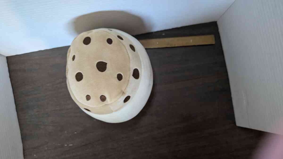 SQUISHMALLOWS KOAKO THE CHOCOLATE CHIP ICE CREAM SANDWICH 75 - Phoenix, Arizona - FleaMarketBay