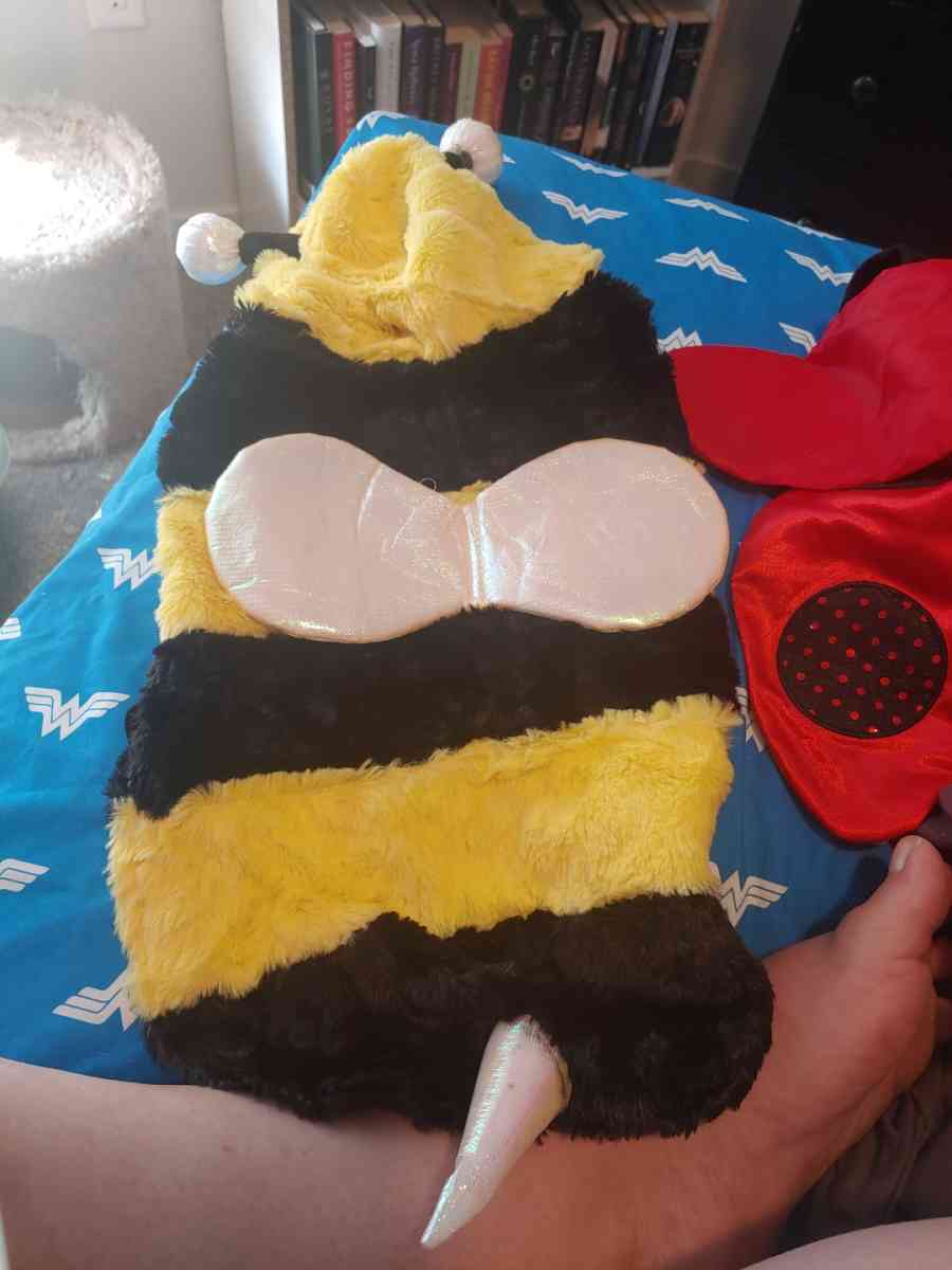 Pet bee custome - Commerce City, Colorado