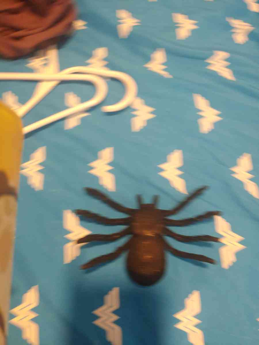 Halloween decor - Commerce City, Colorado - FleaMarketBay