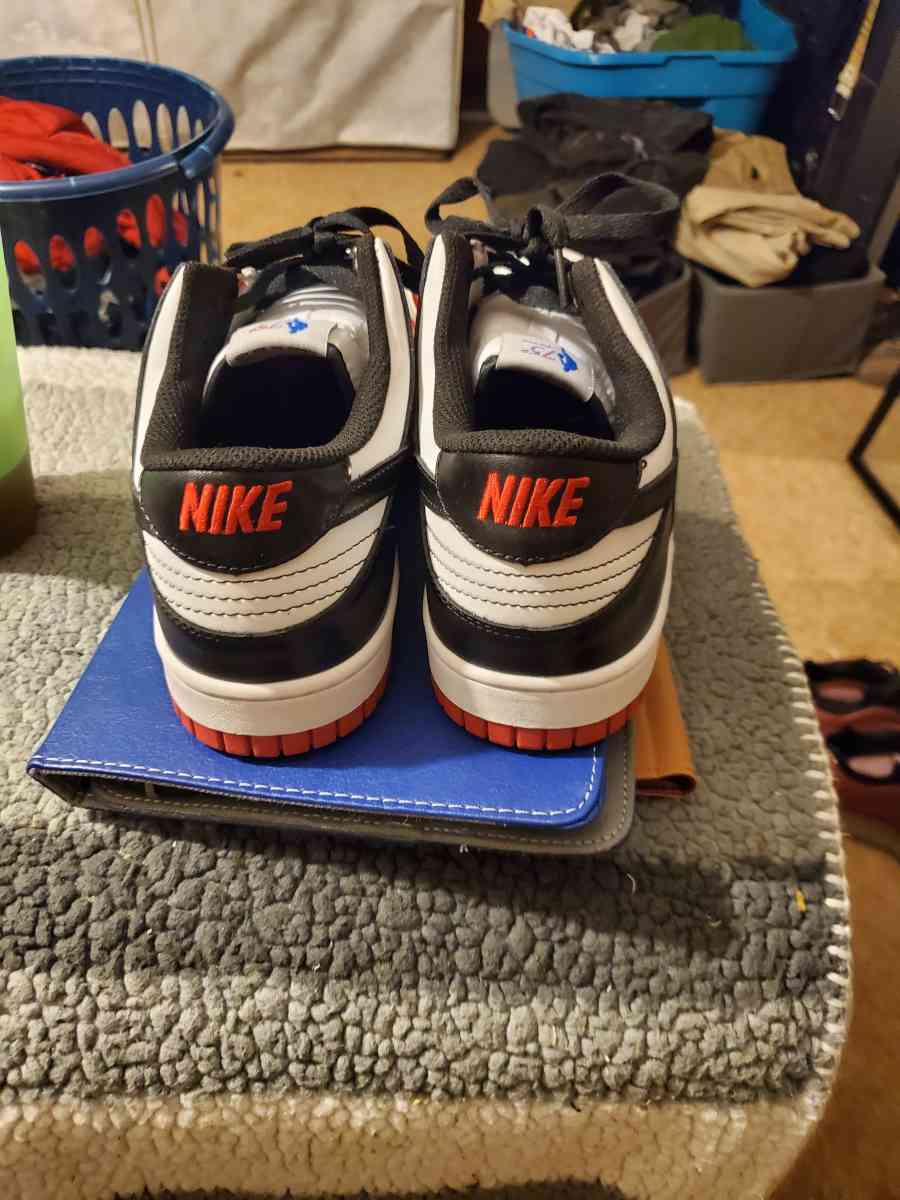 Nike dunks 75th anniversary tag sneakers - Chester, Virginia - FleaMarketBay