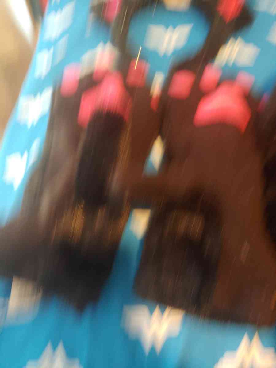 Cat custome - Commerce City, Colorado - FleaMarketBay