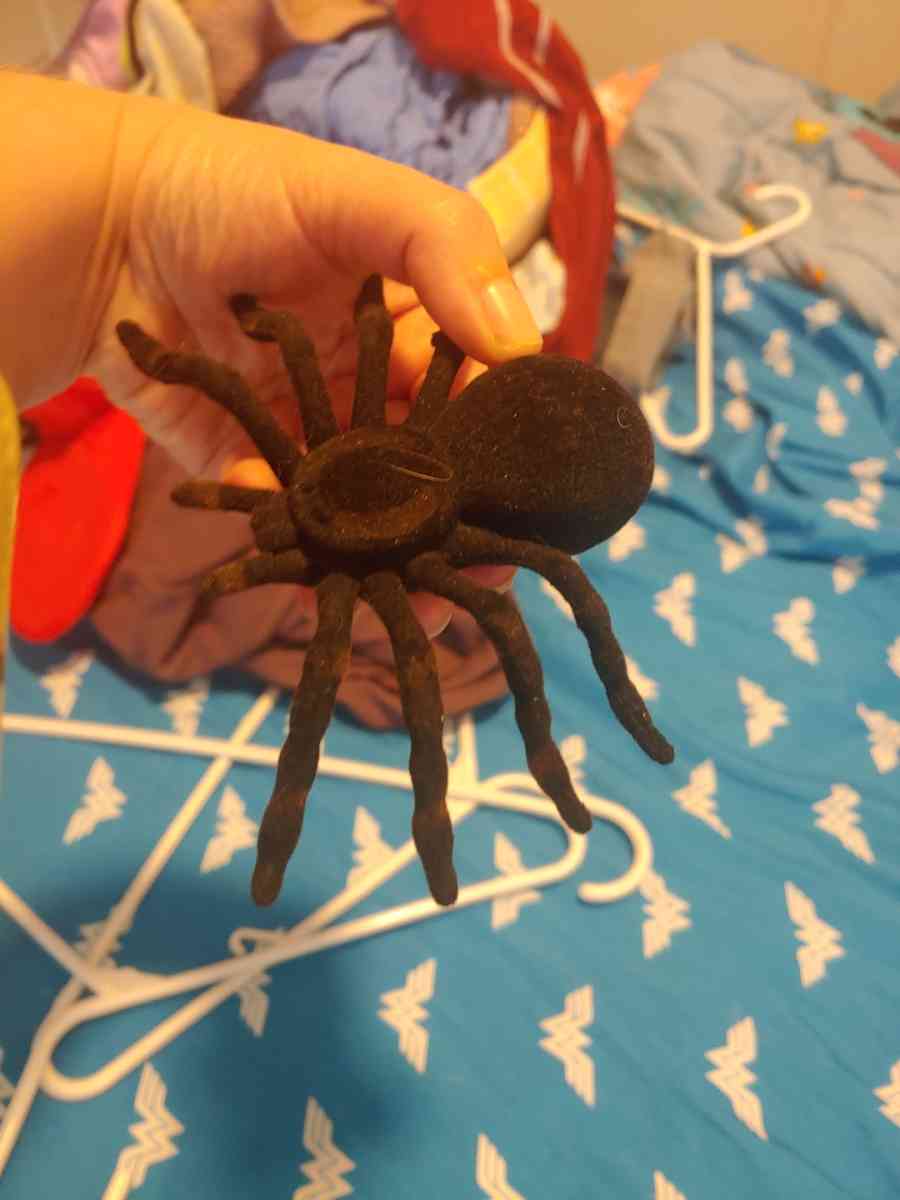 Halloween decor - Commerce City, Colorado - FleaMarketBay