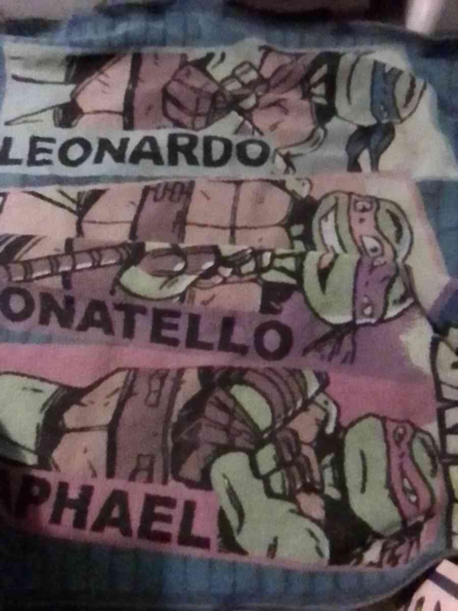 TEENAGE MUTANT NINJA TURTLES RUG - Bakersfield, California