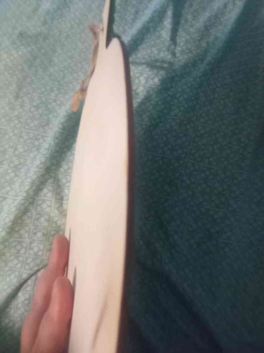 pumpkin fall - Cleveland, Ohio - FleaMarketBay