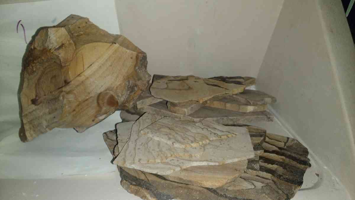 picture jasper beautiful elegant highly recommend - Deming, New Mexico - FleaMarketBay