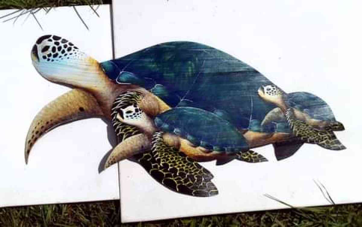 Mother and 2 baby Sea Turtles hand painted palm frond - Fort Pierce, Florida - FleaMarketBay