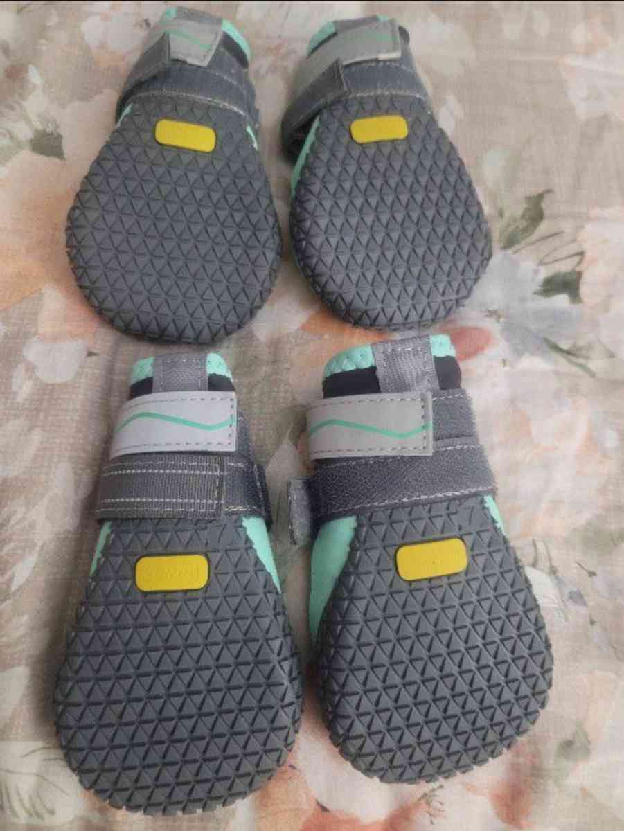 DOGS Shoes - Hudson, Florida - FleaMarketBay