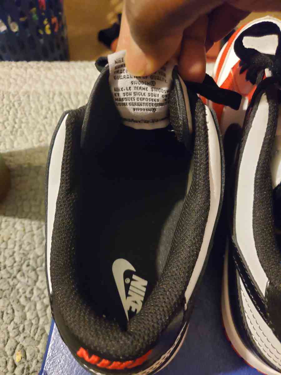 Nike dunks 75th anniversary tag sneakers - Chester, Virginia - FleaMarketBay