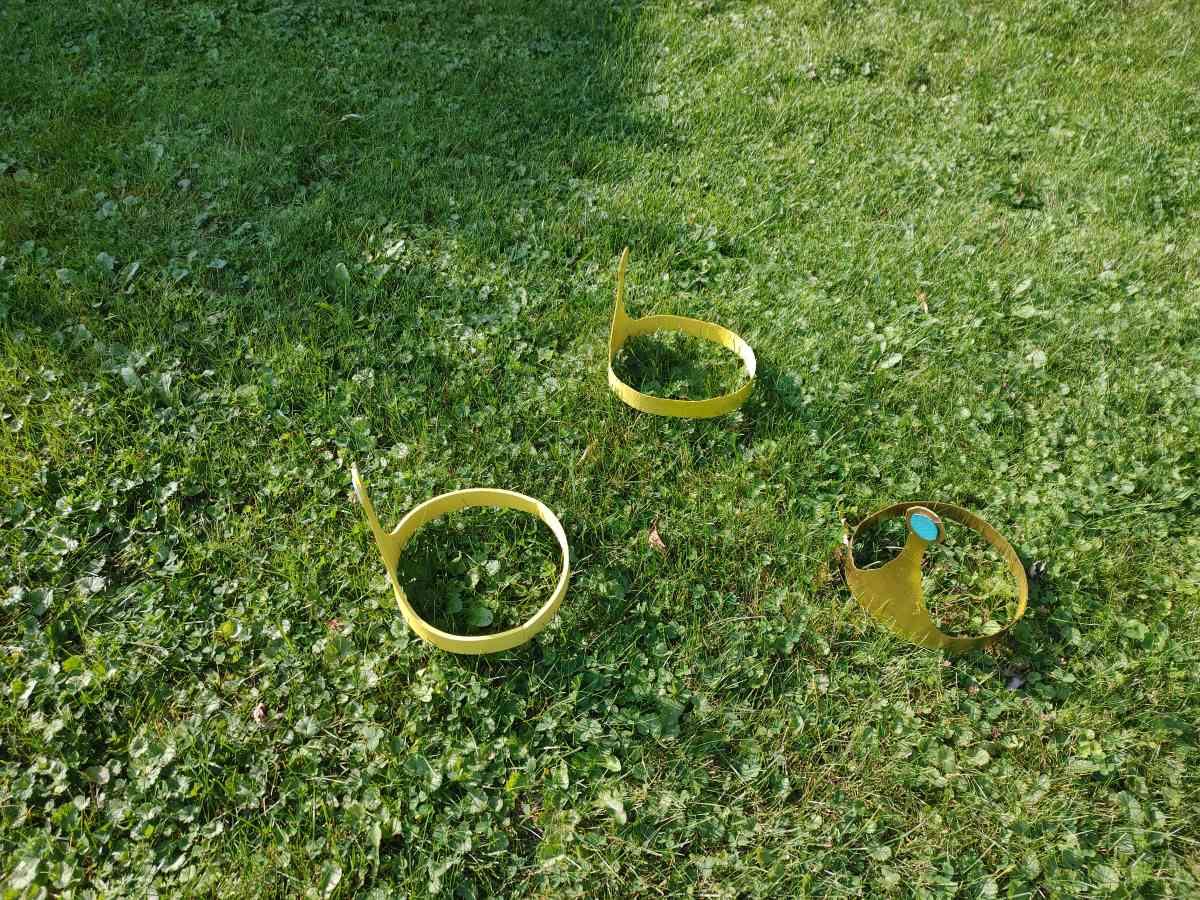 adventure time princess bubblegum crown - Algonquin, Illinois - FleaMarketBay