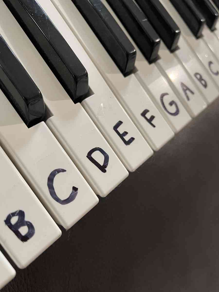 Casio CTK 150 keyboard - Lyndhurst, New Jersey - FleaMarketBay