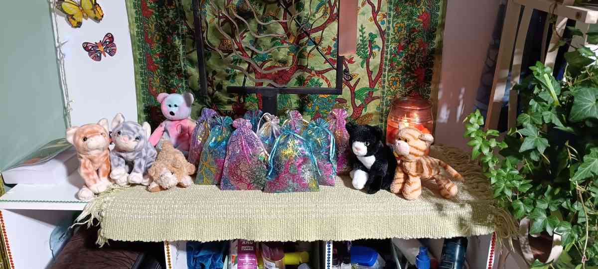 Christmas Catnip SALE  organic grown - Akron, Ohio - FleaMarketBay