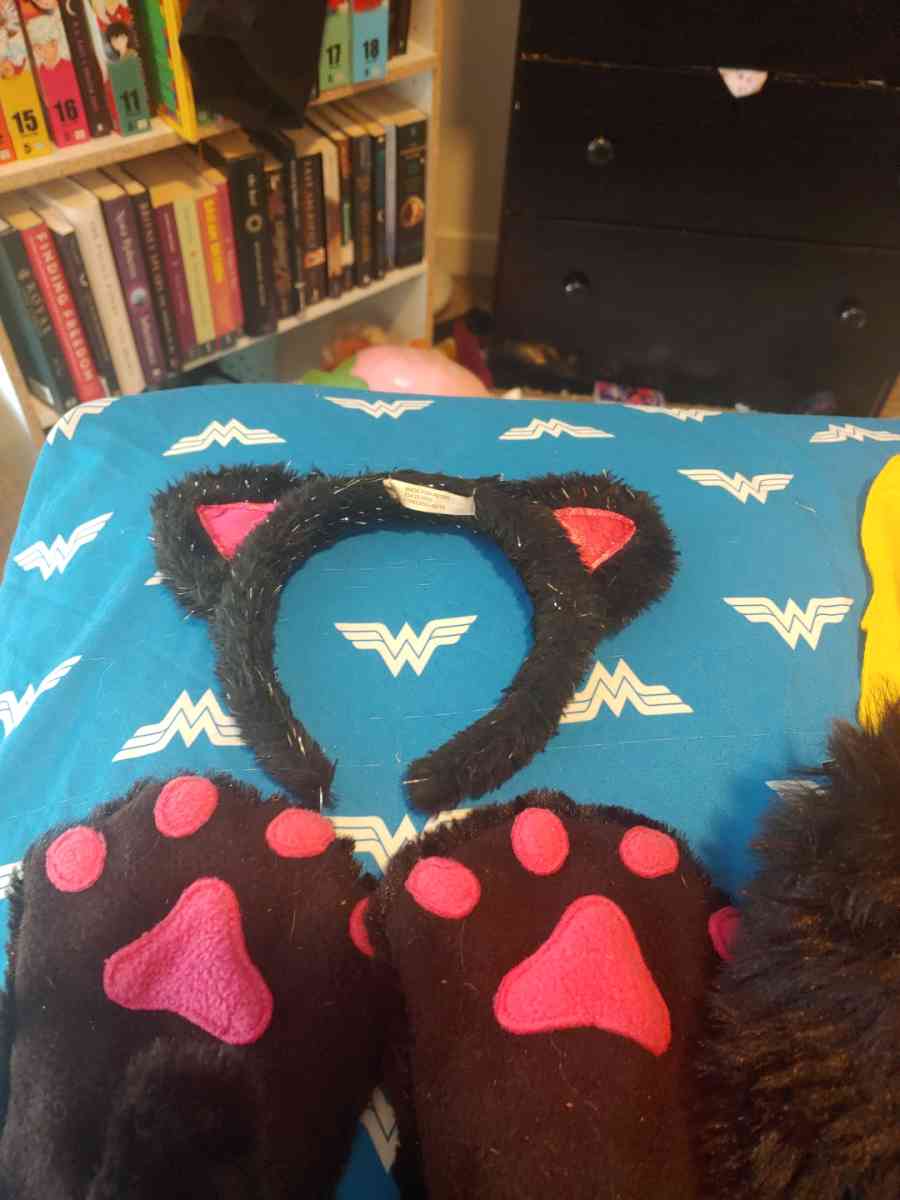 Cat custome - Commerce City, Colorado - FleaMarketBay