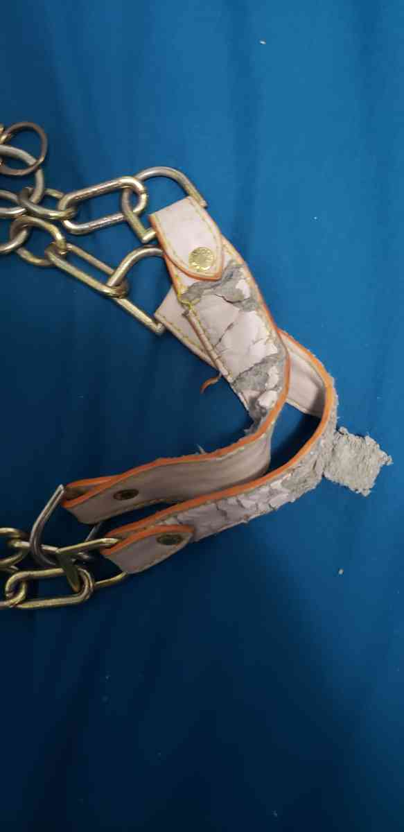 Louis vuitton bag - Fort Worth, Texas - FleaMarketBay