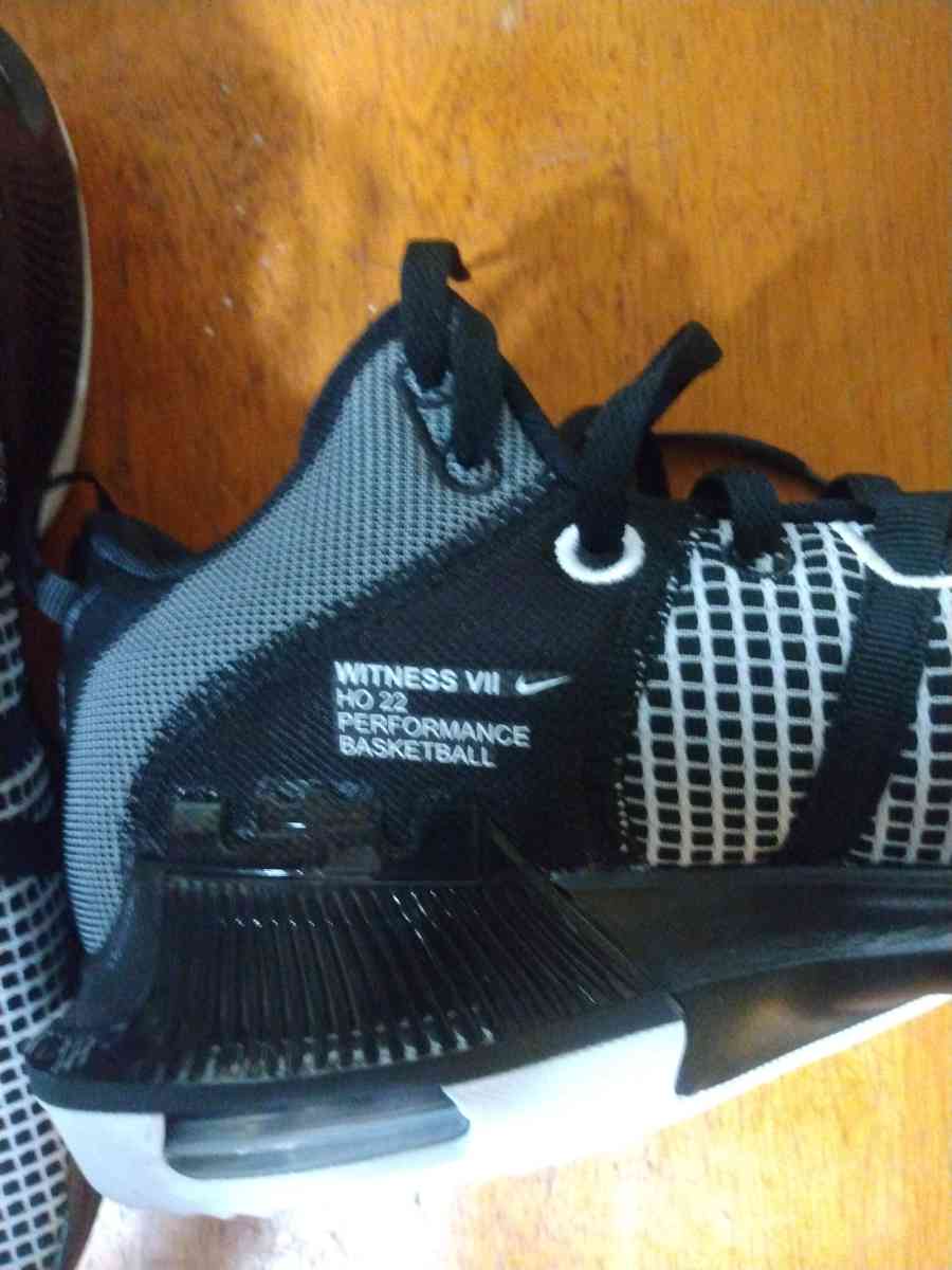 LeBron witness 7 TB - Saint Petersburg, Florida