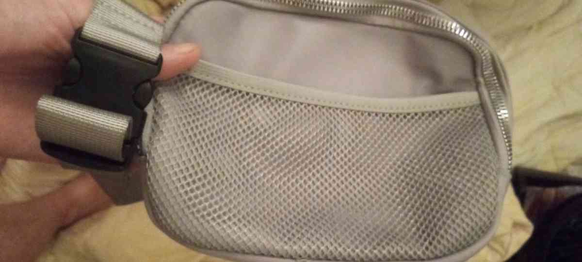 Metallic Fanny Pack - Palatine, Illinois