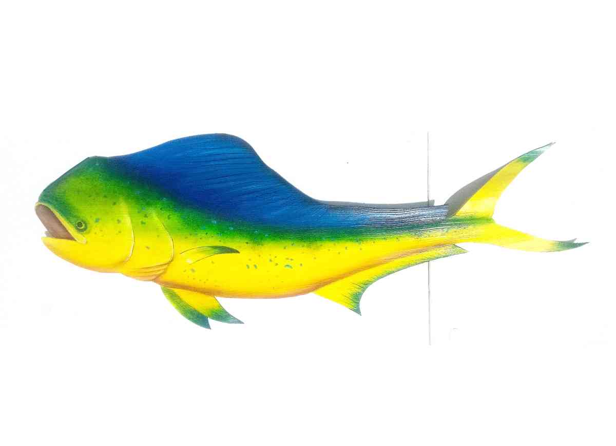Mahi Fish hand carved from palm tree frond - Fort Pierce, Florida - FleaMarketBay