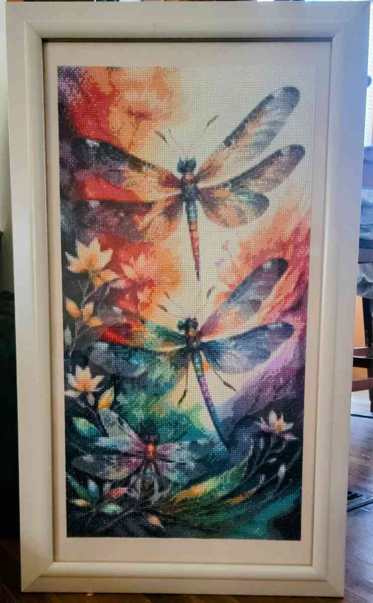 Dragonfly Diamond Artwork - Rockford, Illinois