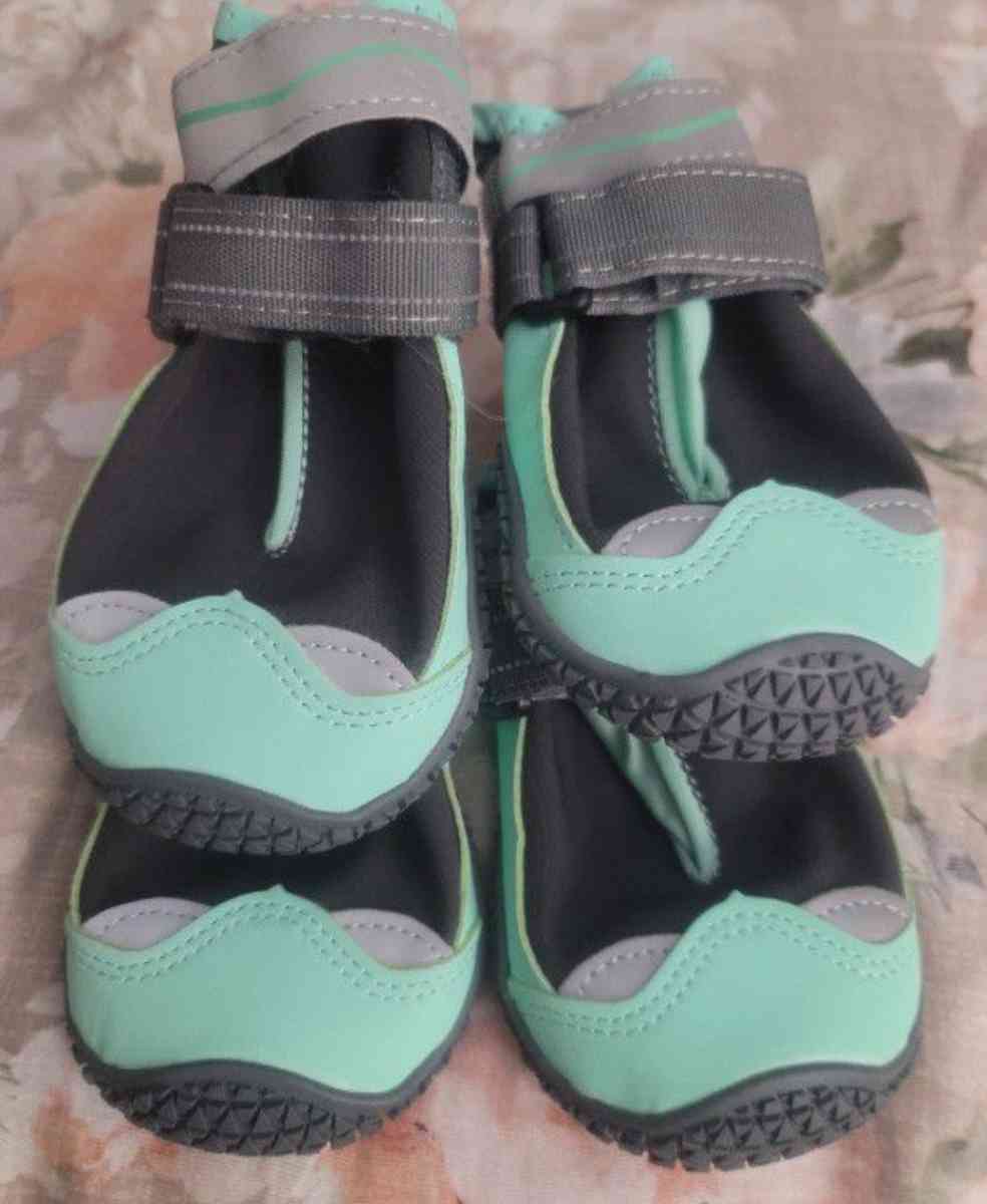 DOGS Shoes - Hudson, Florida