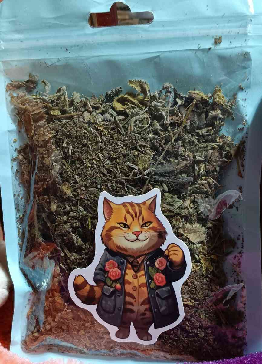 Organic Catnip