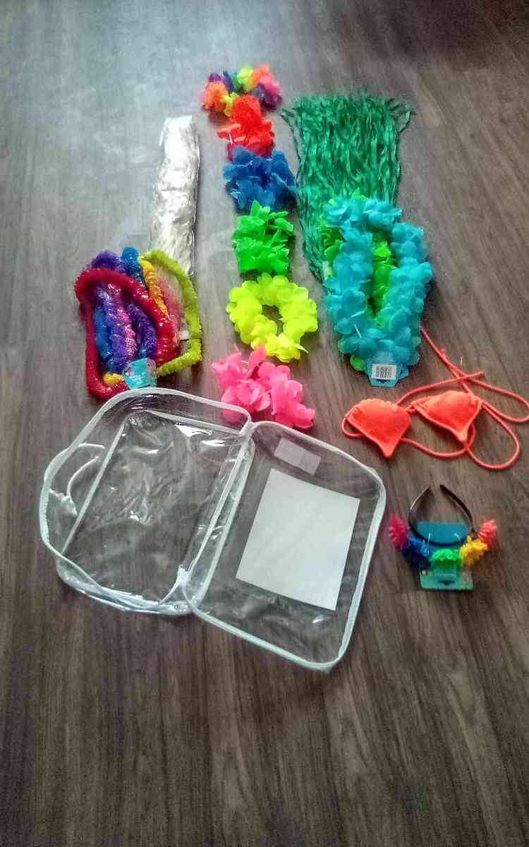 womans Halloween costume - Fort Smith, Arkansas - FleaMarketBay