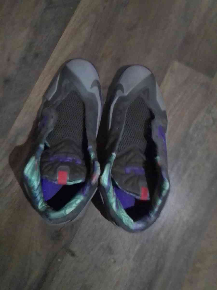 Nike Lebron 11 GS Terracotta Warrior basketball shoes - Prescott, Arizona - FleaMarketBay