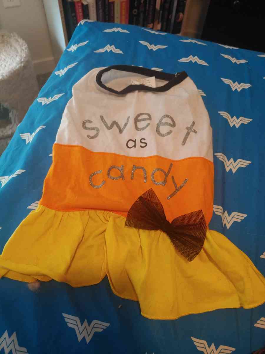 Halloween dress - Commerce City, Colorado