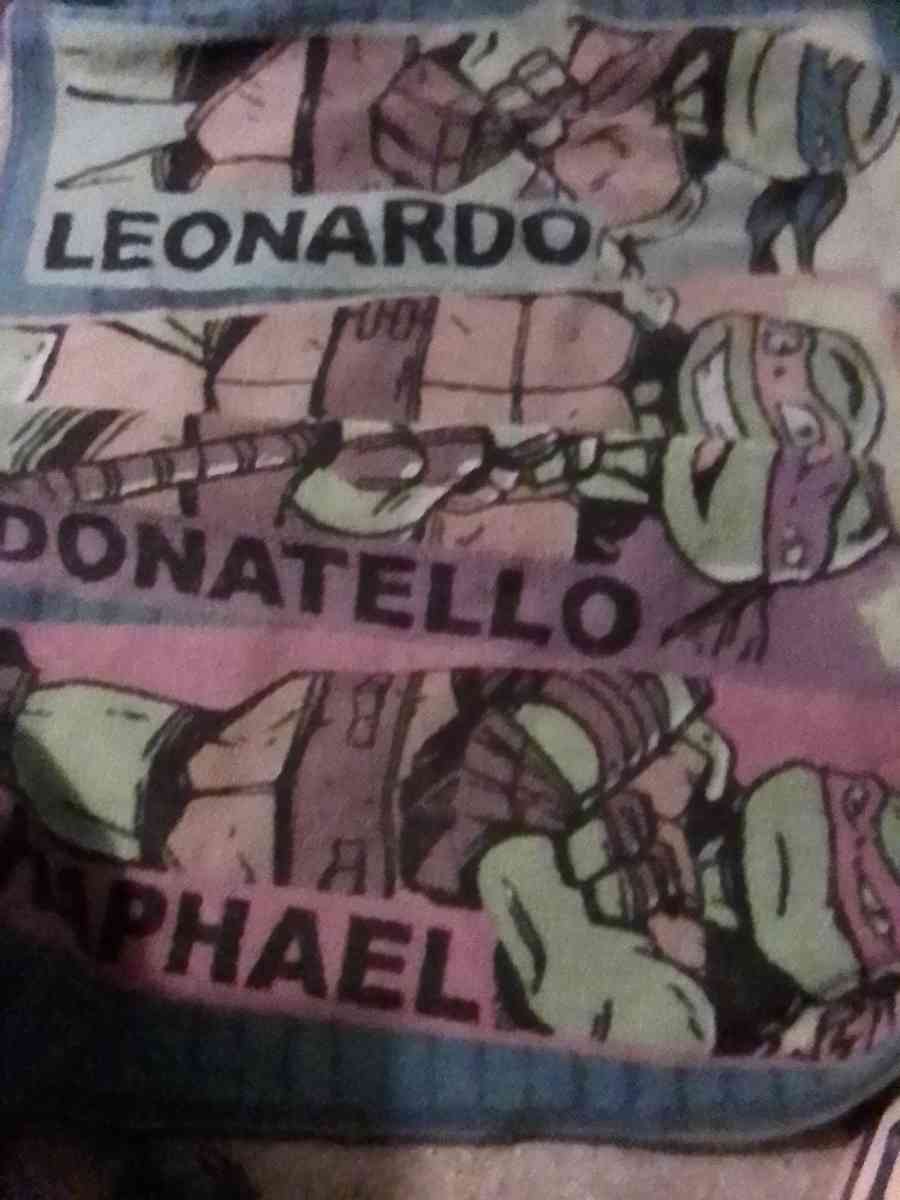 TEENAGE MUTANT NINJA TURTLES RUG - Bakersfield, California - FleaMarketBay