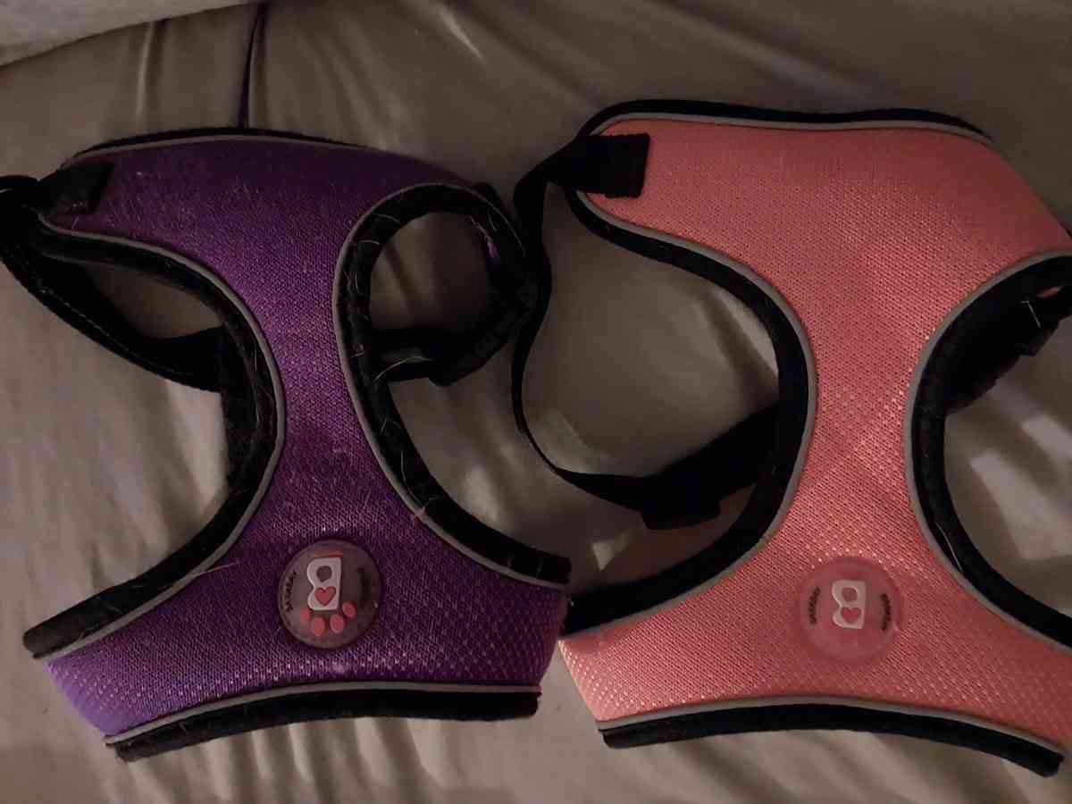 dog harness - Acworth, Georgia - FleaMarketBay