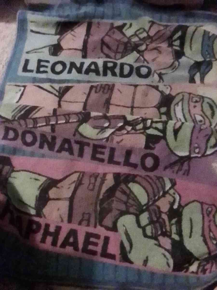 TEENAGE MUTANT NINJA TURTLES RUG - Bakersfield, California - FleaMarketBay