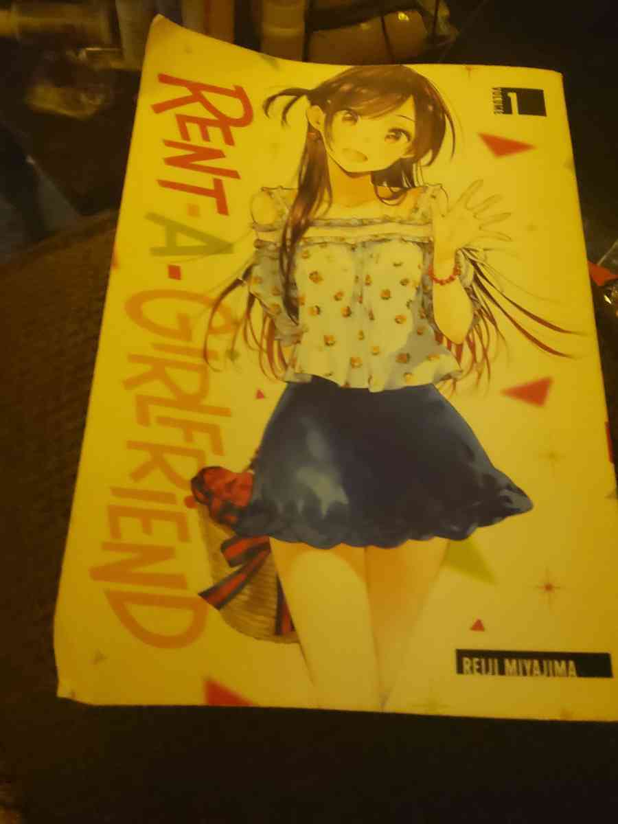 rent a girlfriend volume 1 no call but text through app - North East, Pennsylvania