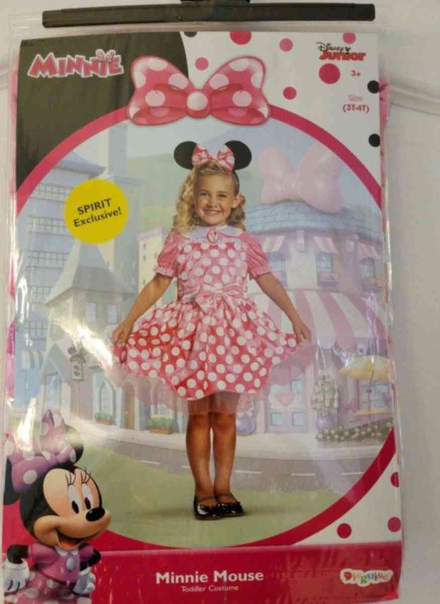Minnie mouse costume - Hudson, Florida - FleaMarketBay