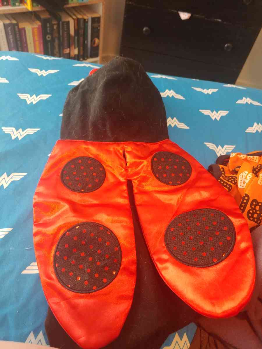 Lady bug - Commerce City, Colorado