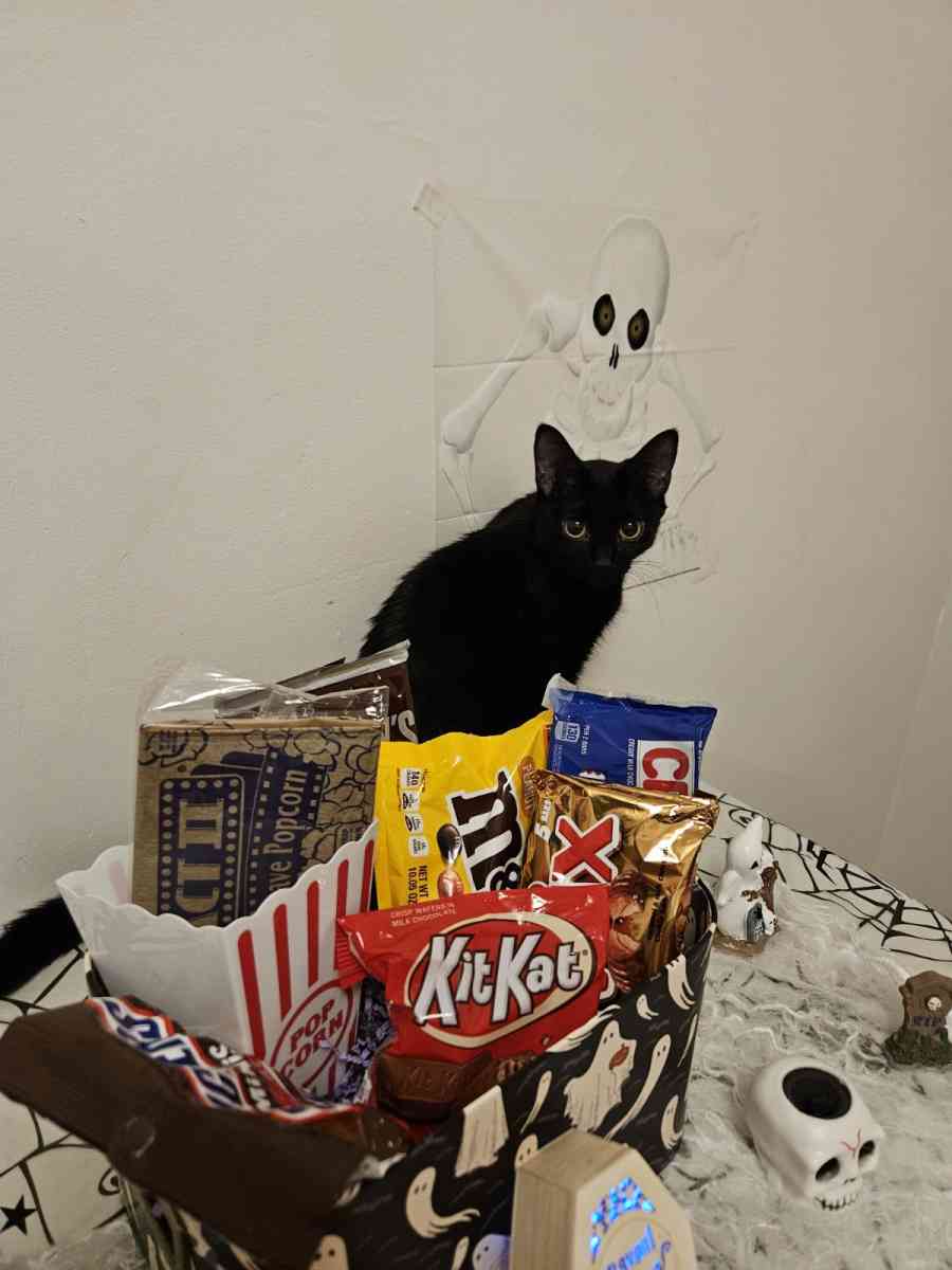 Halloween Miniature Candy Box - Southfield, Michigan - FleaMarketBay