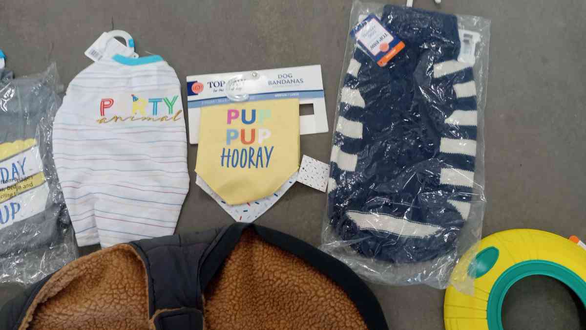 all     for you dog - Belmont, California