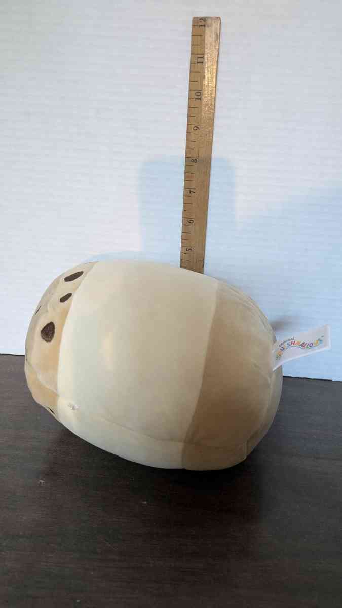 SQUISHMALLOWS KOAKO THE CHOCOLATE CHIP ICE CREAM SANDWICH 75 - Phoenix, Arizona