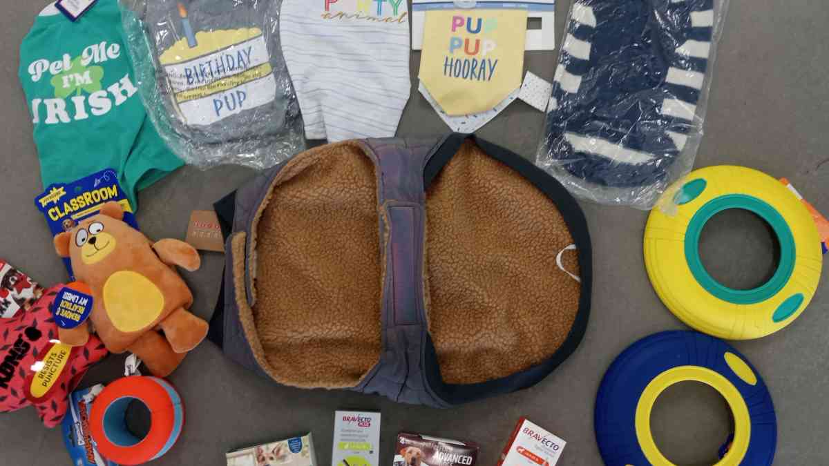 all     for you dog - Belmont, California - FleaMarketBay