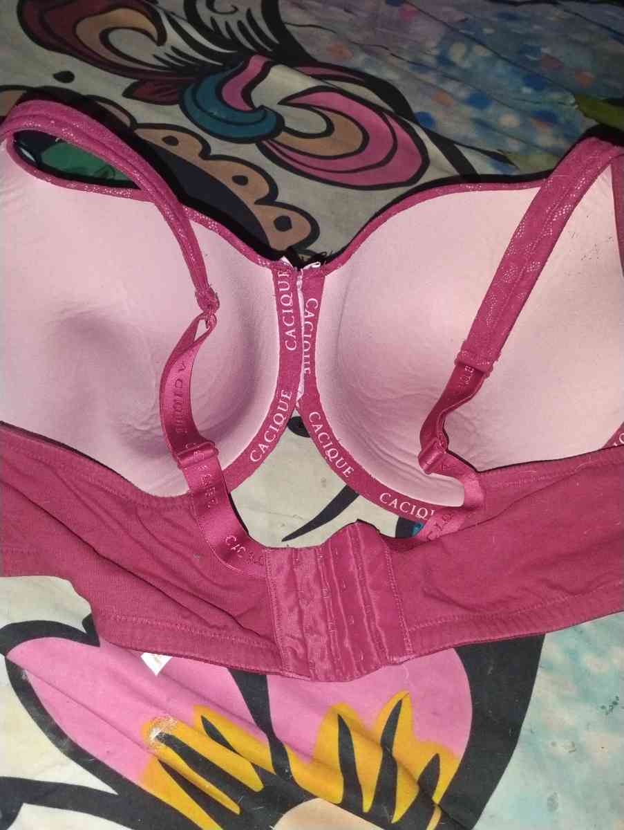 Lanebryant Torrid bras - Dallas, Texas - FleaMarketBay