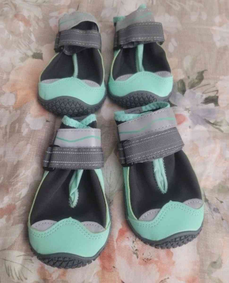 DOGS Shoes - Hudson, Florida - FleaMarketBay