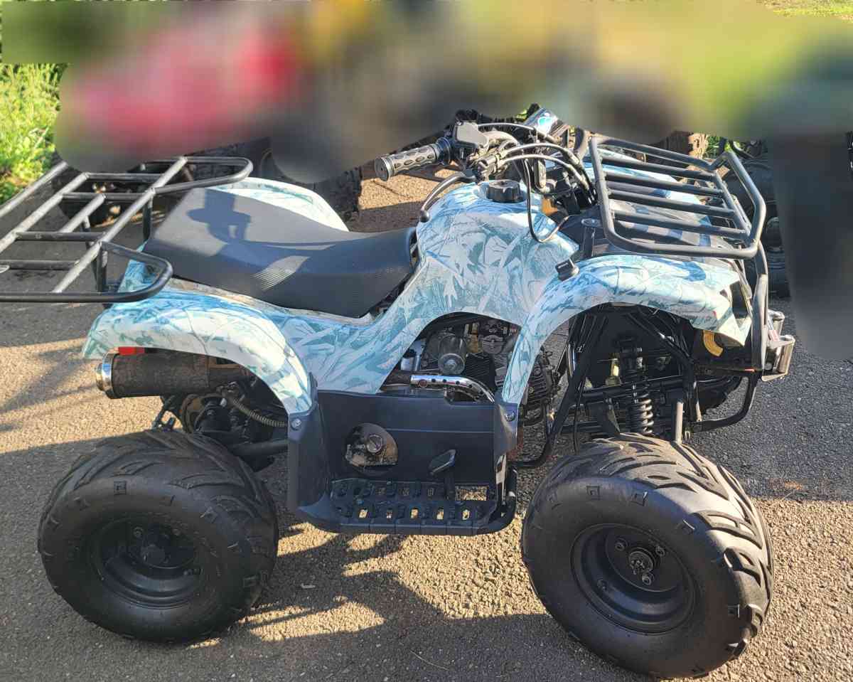 2015 Tao Tao - Northford, Connecticut - FleaMarketBay