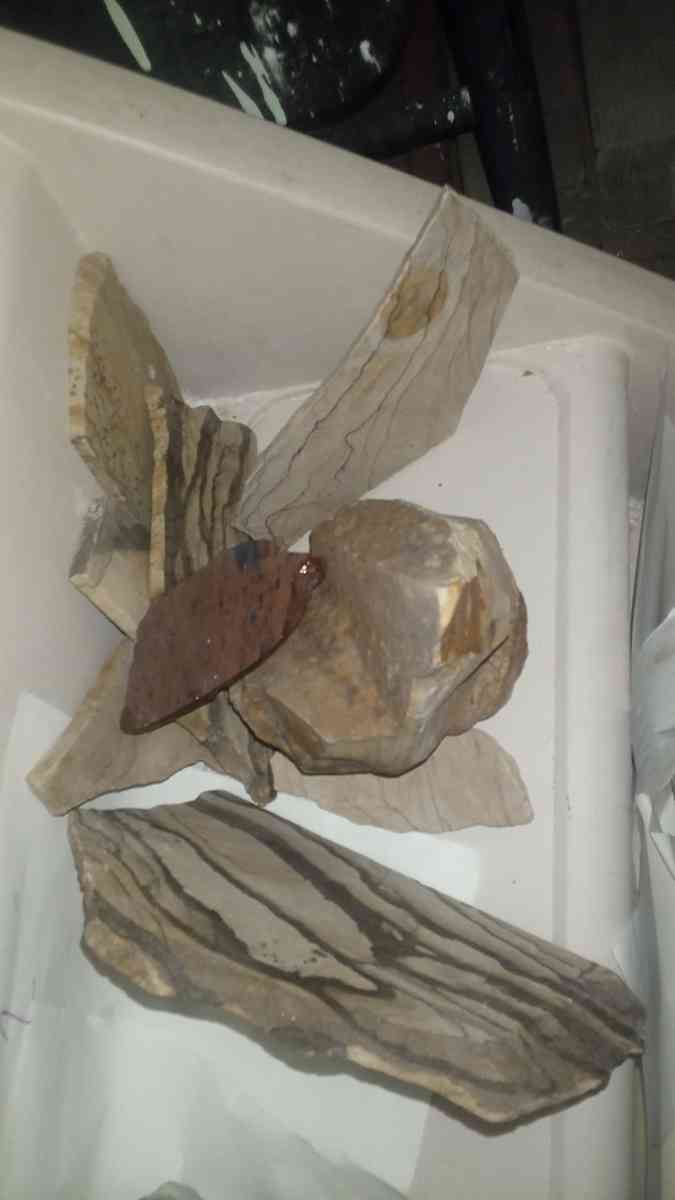 picture jasper beautiful elegant highly recommend - Deming, New Mexico