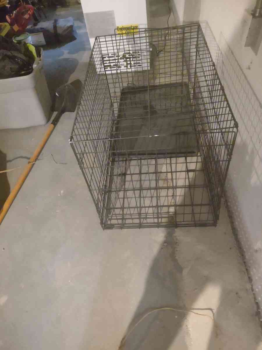 dog cage - Detroit, Michigan - FleaMarketBay