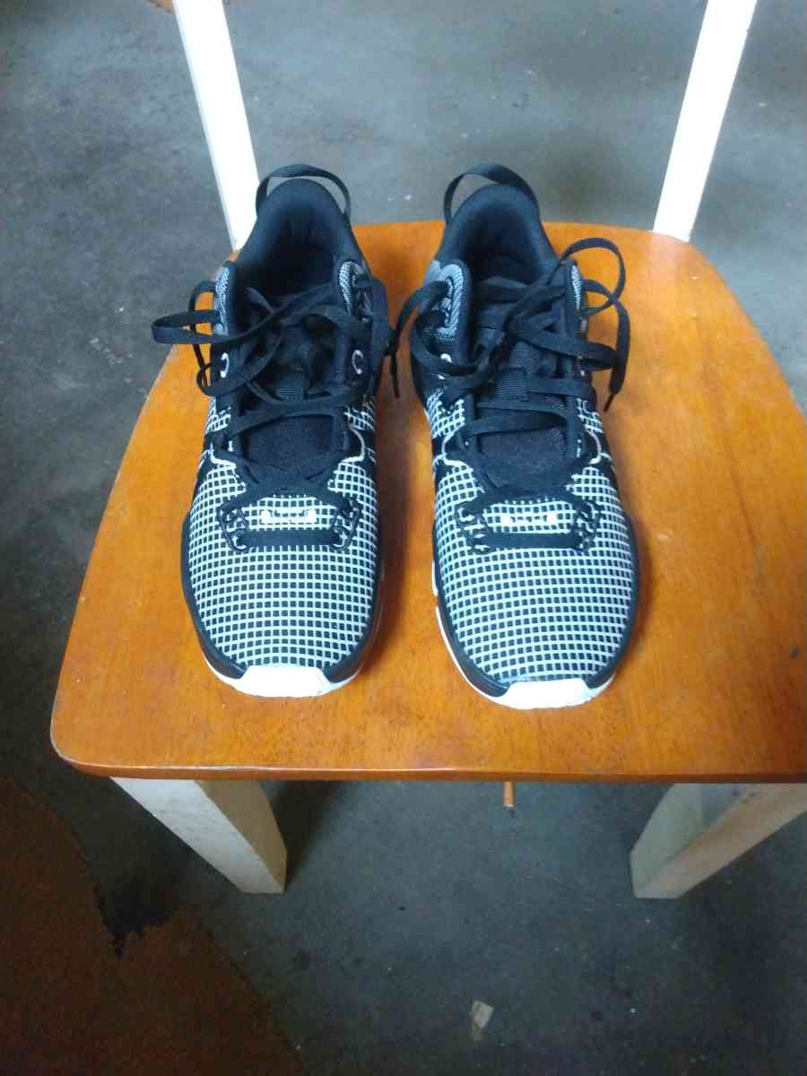 LeBron witness 7 TB - Saint Petersburg, Florida - FleaMarketBay