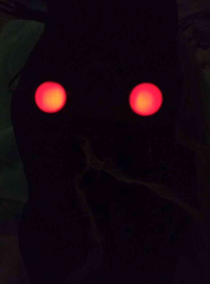 Fading Eyes Zombie Robe - Hudson, Florida