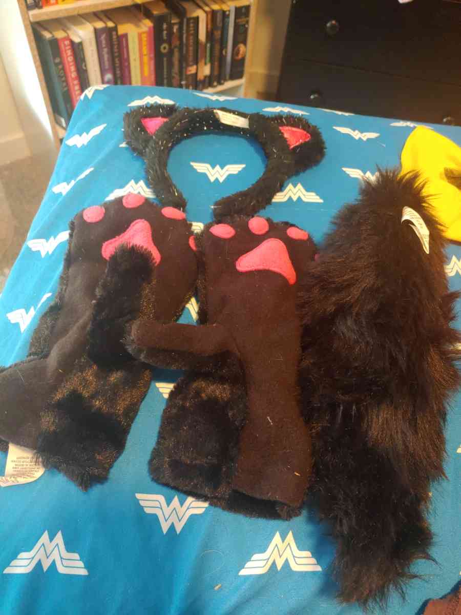 Cat custome - Commerce City, Colorado