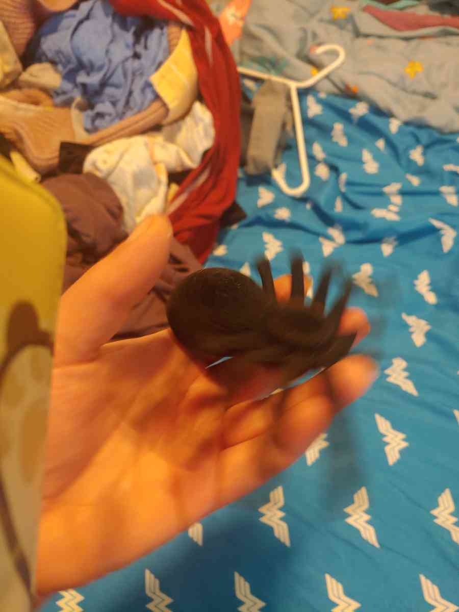 Halloween decor - Commerce City, Colorado - FleaMarketBay