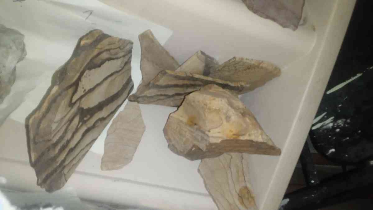 picture jasper beautiful elegant highly recommend - Deming, New Mexico - FleaMarketBay