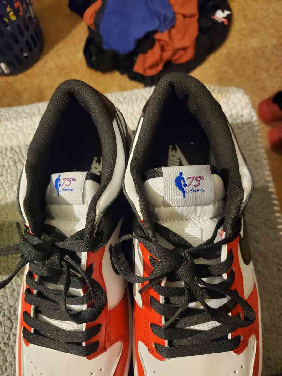 Nike dunks 75th anniversary tag sneakers - Chester, Virginia - FleaMarketBay